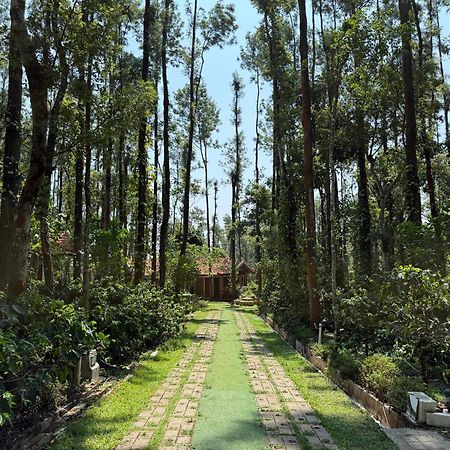 Coffee Grove Resort Chikmagalūr Esterno foto