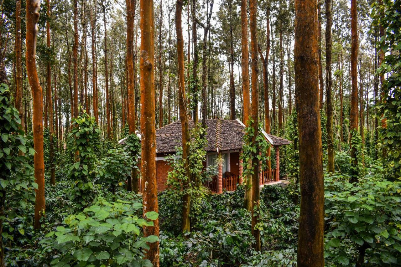 Coffee Grove Resort Chikmagalūr Esterno foto