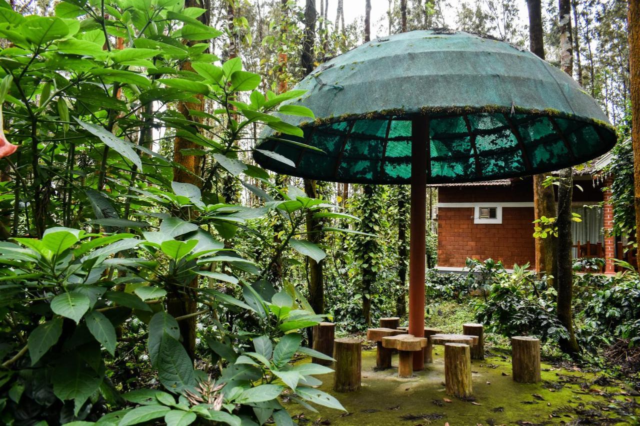 Coffee Grove Resort Chikmagalūr Esterno foto