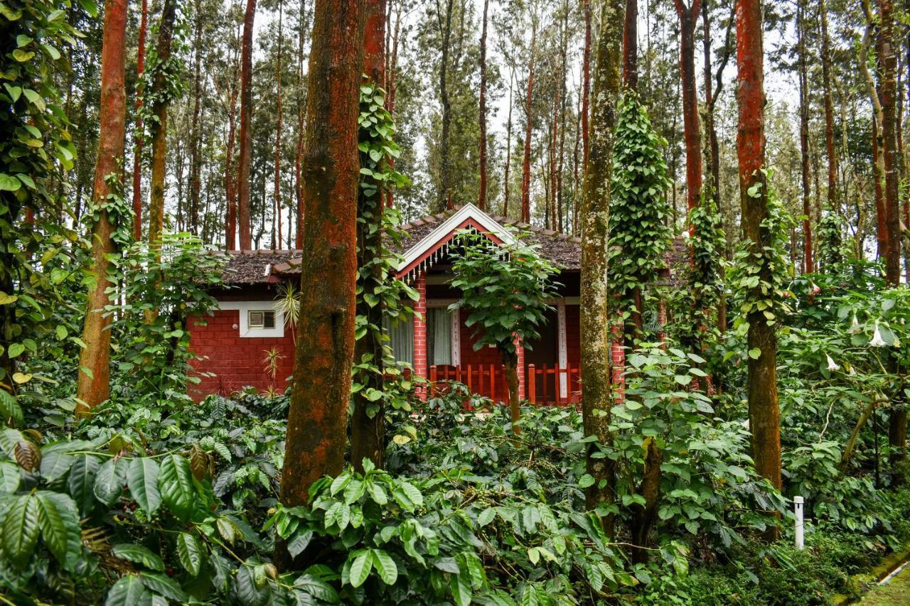 Coffee Grove Resort Chikmagalūr Esterno foto