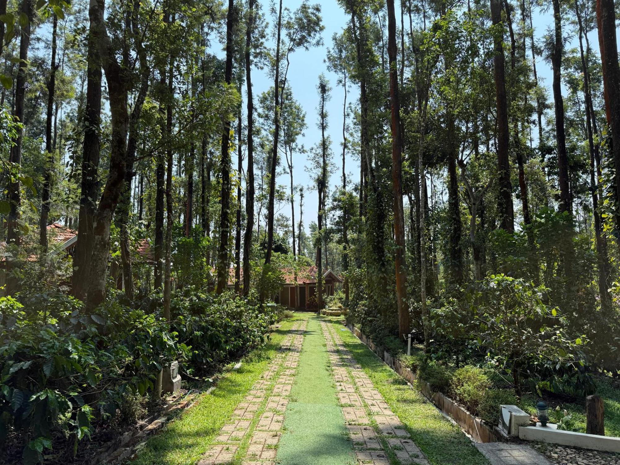 Coffee Grove Resort Chikmagalūr Esterno foto