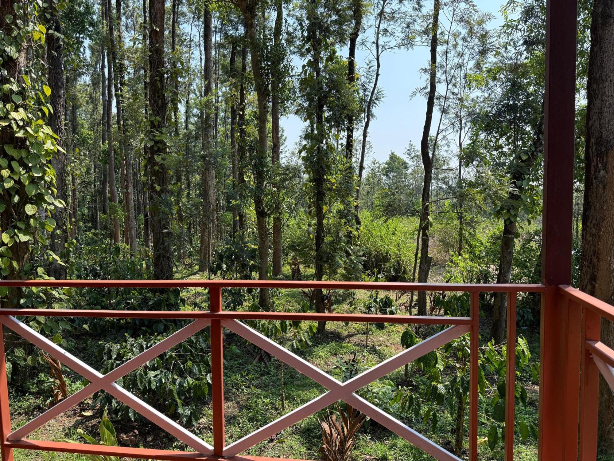 Coffee Grove Resort Chikmagalūr Esterno foto