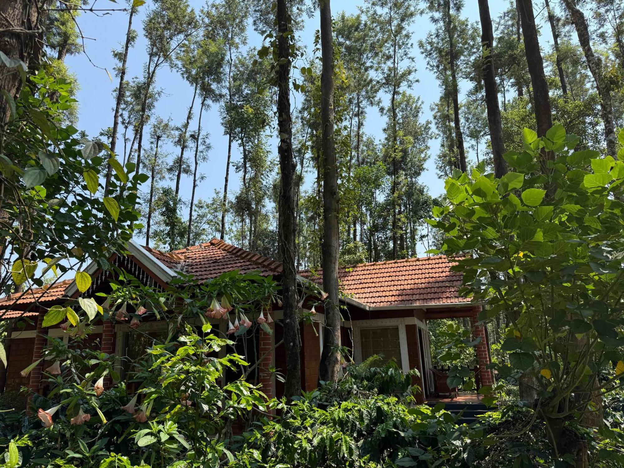 Coffee Grove Resort Chikmagalūr Esterno foto