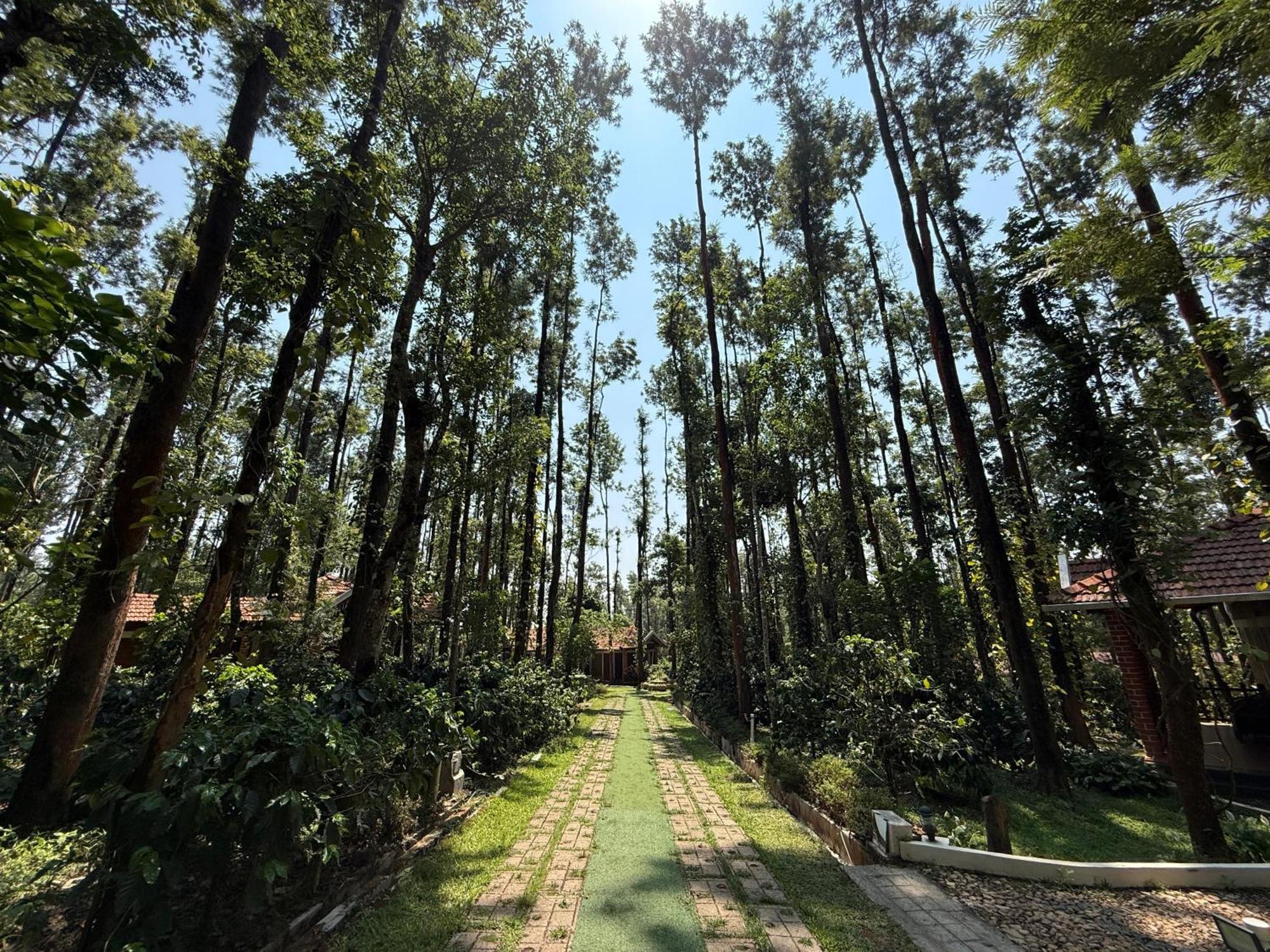Coffee Grove Resort Chikmagalūr Esterno foto