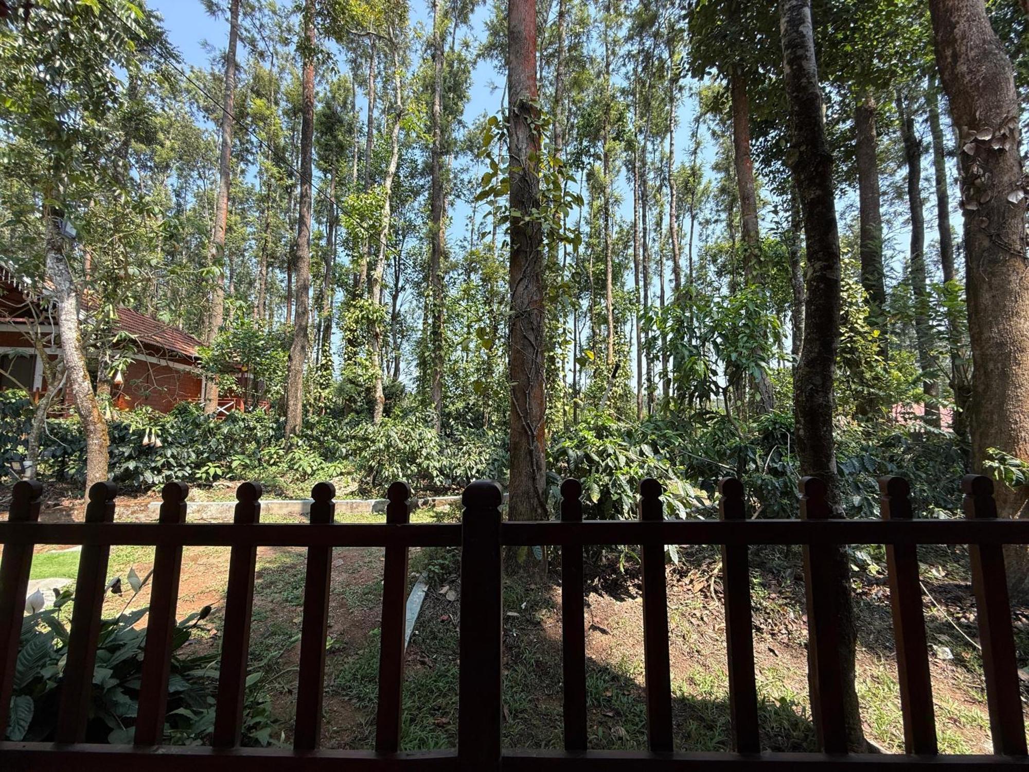 Coffee Grove Resort Chikmagalūr Esterno foto