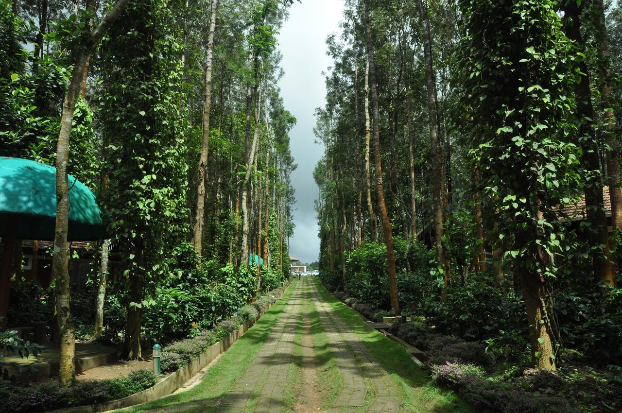 Coffee Grove Resort Chikmagalūr Esterno foto